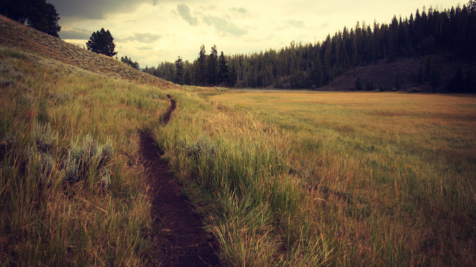 Фото: pxhere.com