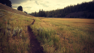 Фото: pxhere.com