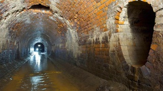 Фото: t.me/bazabazon 