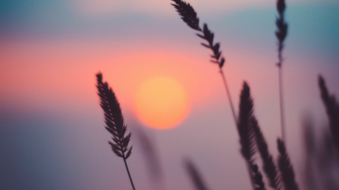 Фото: unsplash.com