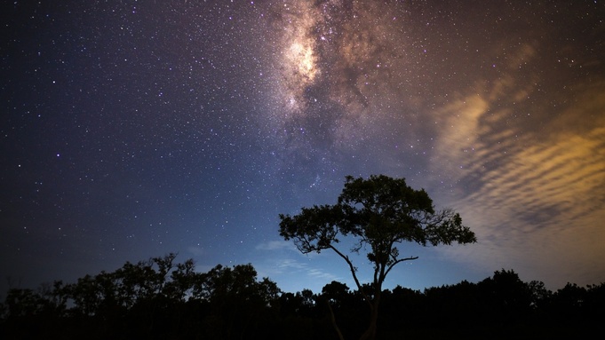 Фото: pixabay.com