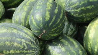 Фото: unsplash.com