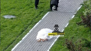 Фото: Инцидент Барнаул