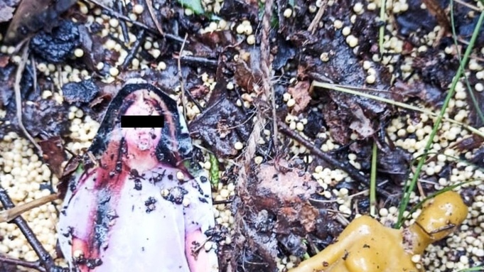 Фото: vk.com/gazetazar