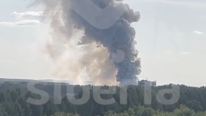 Кадр: Mash Siberia