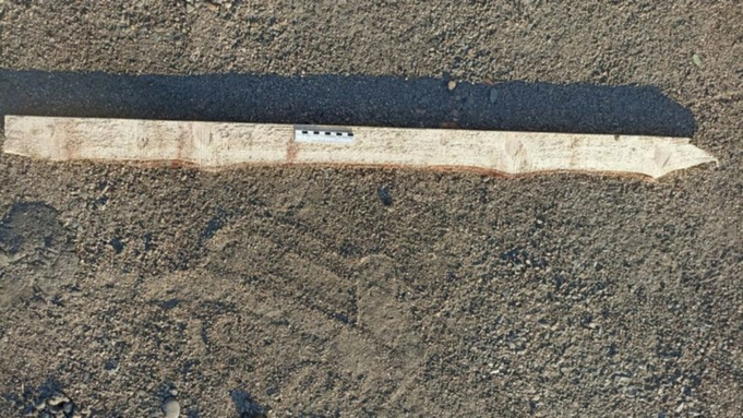 Фото: СК по Алтайскому краю