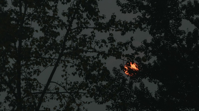 Фото: unsplash.com