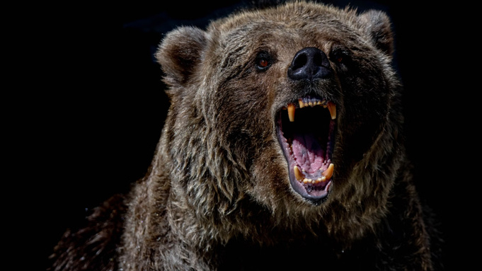 Фото: unsplash.com