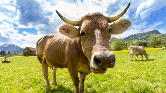 Фото: pxhere.com