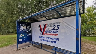 Выборы в Алтайском крае в 2023 году / Фото: Александра Черданцева
