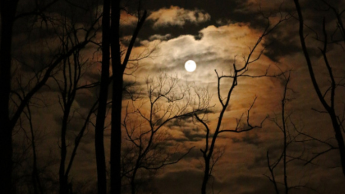 Фото: pxhere.com