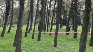 Фото: СК Москвы