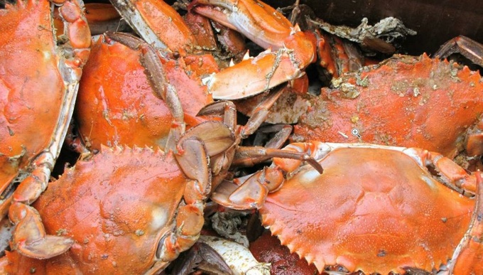 Фото: unsplash.com