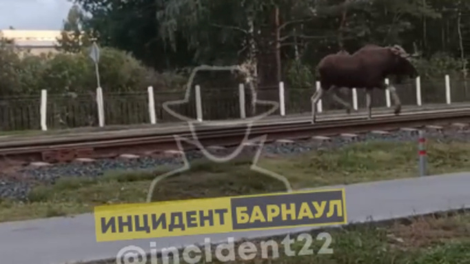 Кадр из видео