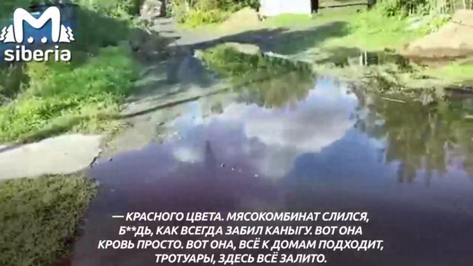 Кадр из видео / Mash Siberia
