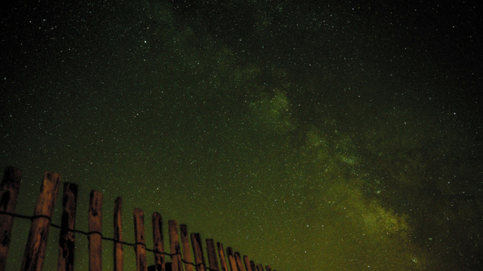 Фото: pxhere.com