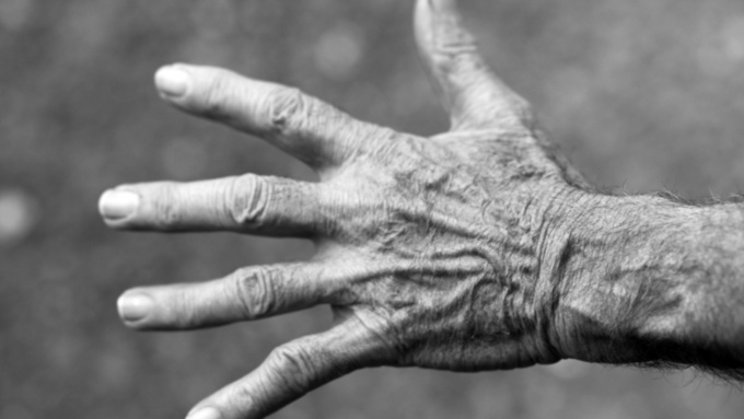 Фото: pxhere.com