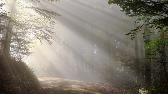 Фото: pxhere.com