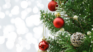 Елка / Фото: kjpargeter / Freepik