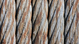 Фото: pxhere.com