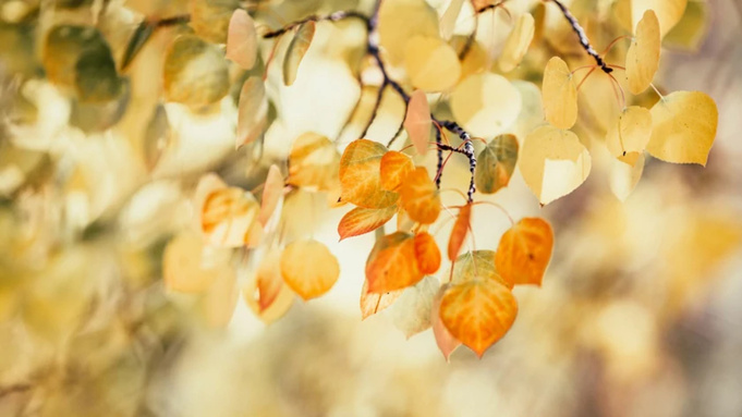 Фото: unsplash.com