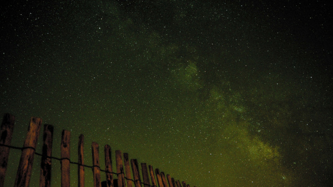 Фото: pxhere.com