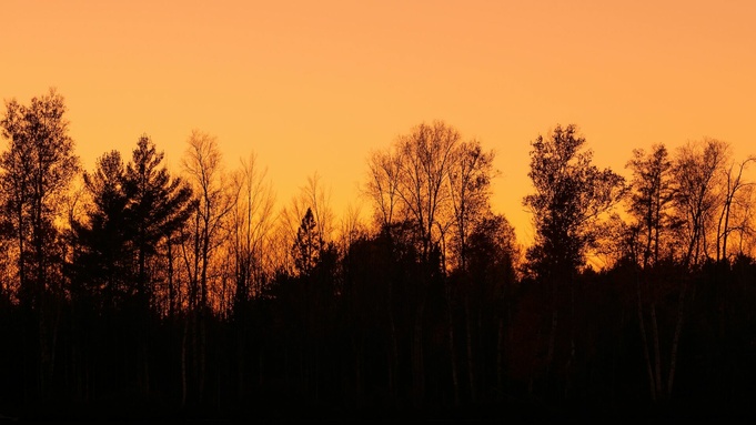 Фото: unsplash.com