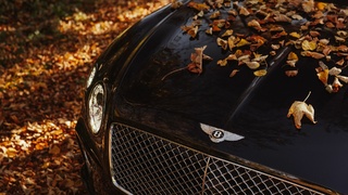 Фото: unsplash.com