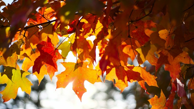 Фото: unsplash.com