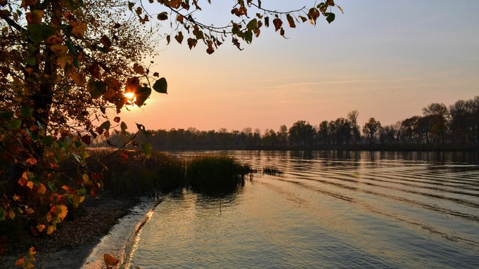 Фото: unsplash.com