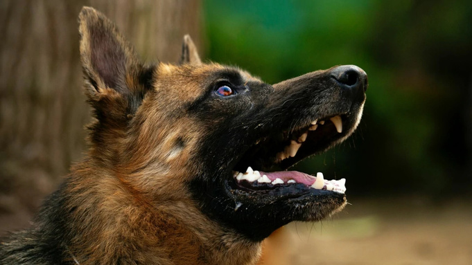 Фото: unsplash.com