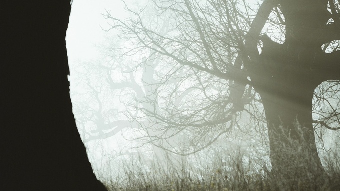 Фото: unsplash.com