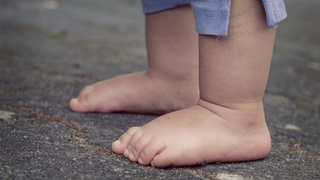 Фото: pxhere.com