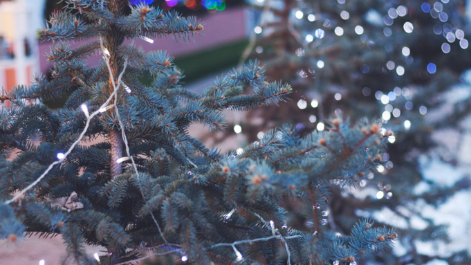 Фото: pxhere.com