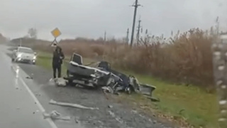 Кадр: "В курсе 22"