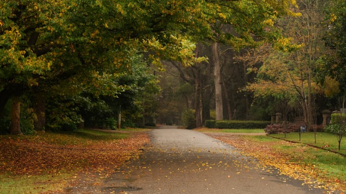 Фото: unsplash.com