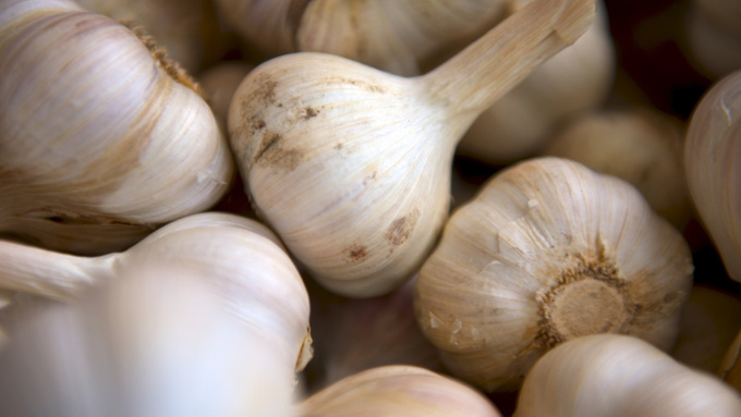 Фото: pxhere.com