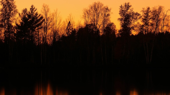 Фото: unsplash.com