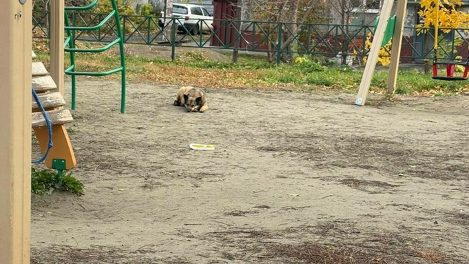 Фото: "В курсе 22"