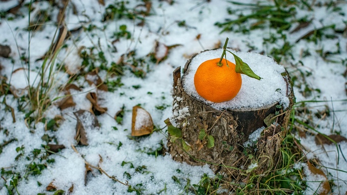 Фото: unsplash.com