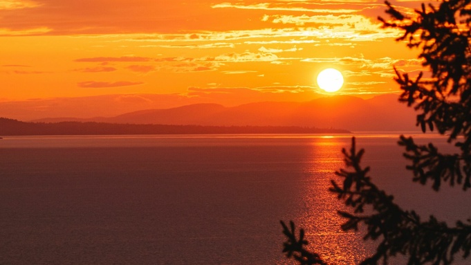 Фото: unsplash.com