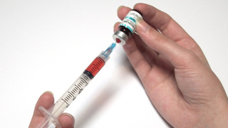 Фото: pxhere.com