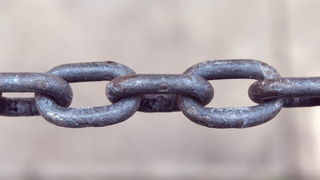 Фото: pxhere.com