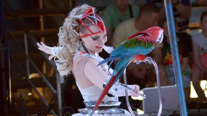 Выступление артиста и попугая ара / Фото: цирк шапито "Гранд сафари"