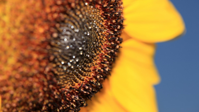 Фото: pxhere.com