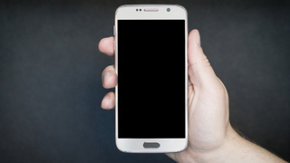 Фото: pxhere.com