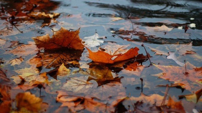 Фото: unsplash.com