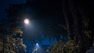 Фото: unsplash.com