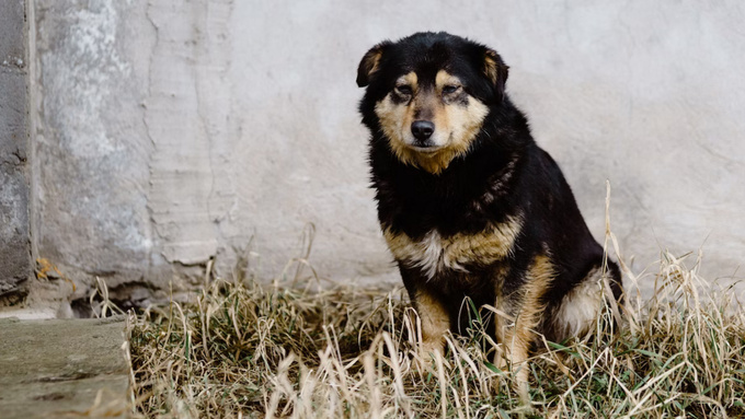 Фото: unsplash.com