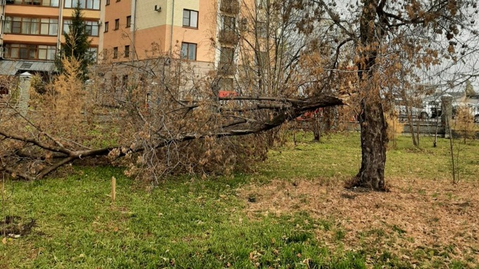 Парк "Изумрудный" / Фото: t.me/vvakaev